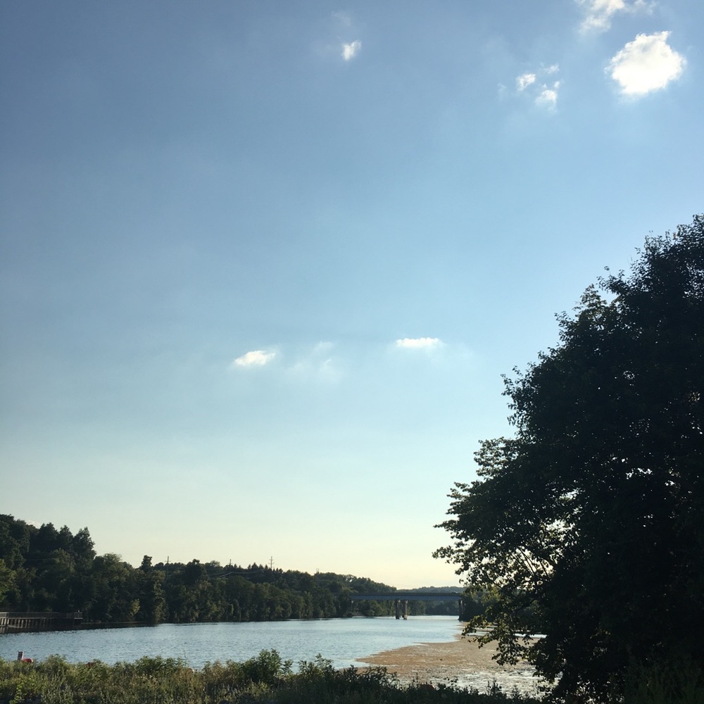 Meet your Posher, Ashlyn